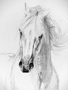 Galopujący koń - rysunek. Ołówek na papierze